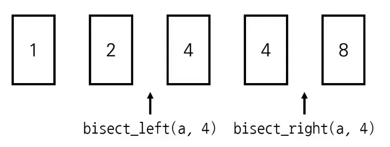 bisect